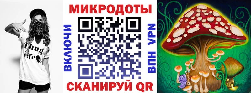 Купить  Новомичуринск  Псилоцибиновые грибы MAGIC MUSHROOMS 